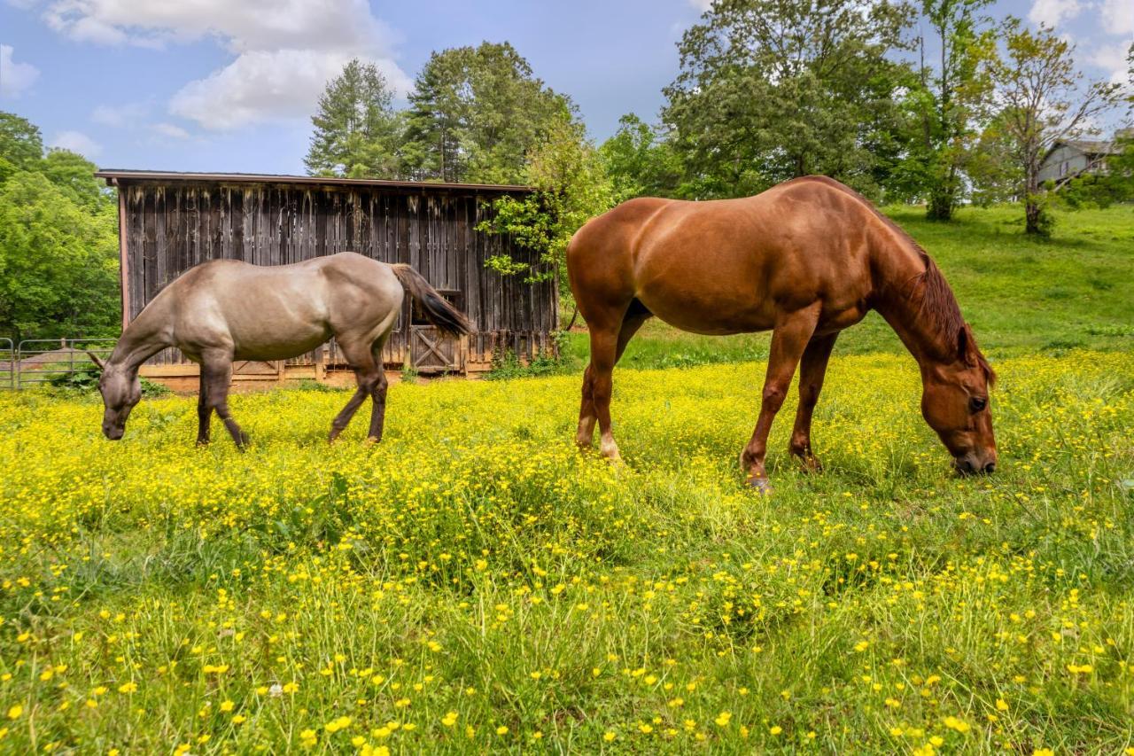 The Inn At Amaris Farms Weaverville Екстериор снимка